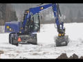 VIDEO: un #Cat blu nella neve della #Danimarca