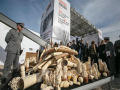 Impianti Industriali protagonista del primo #ivorycrush